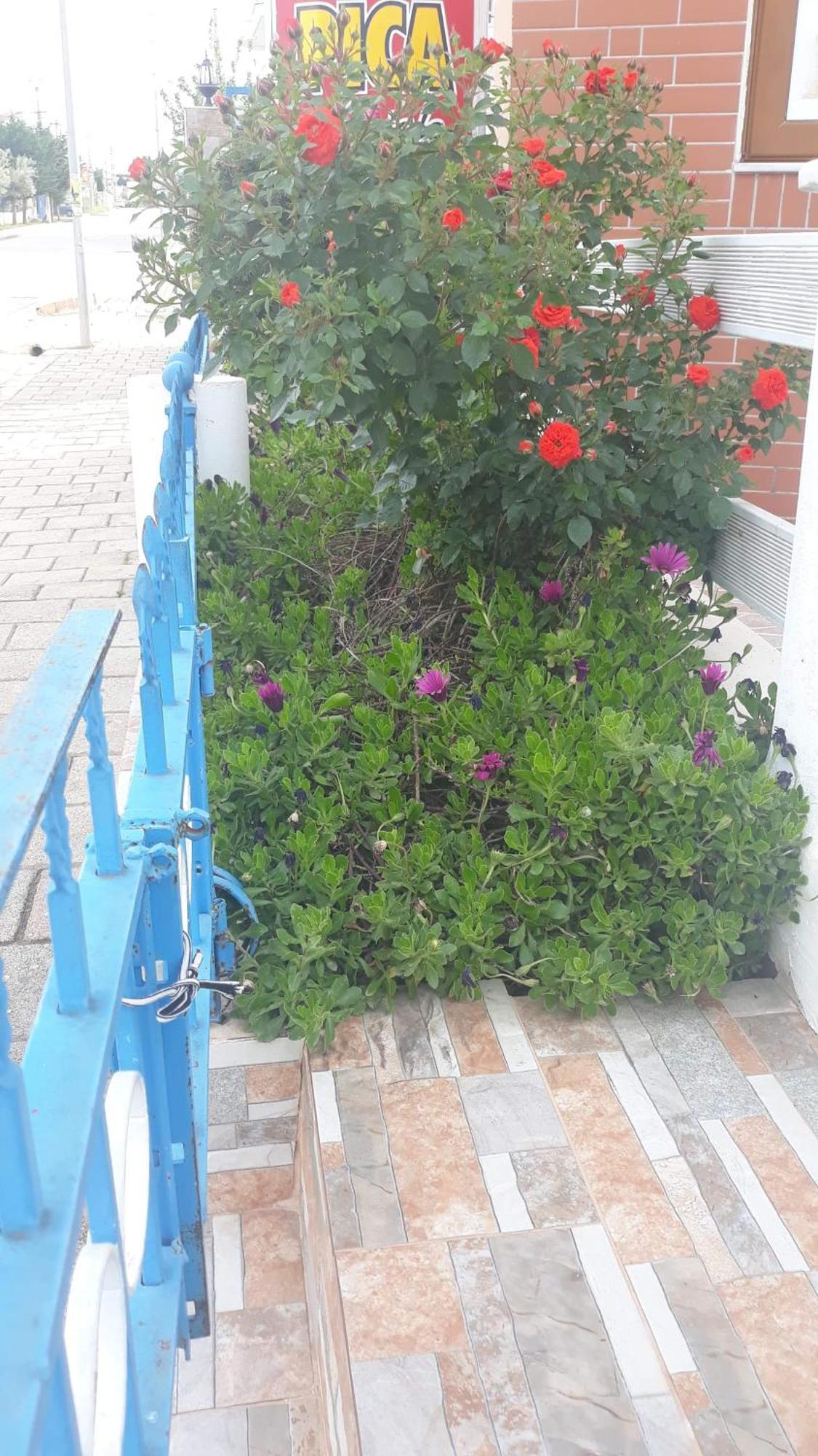 Vila Shuka Ksamil Sarandë 외부 사진