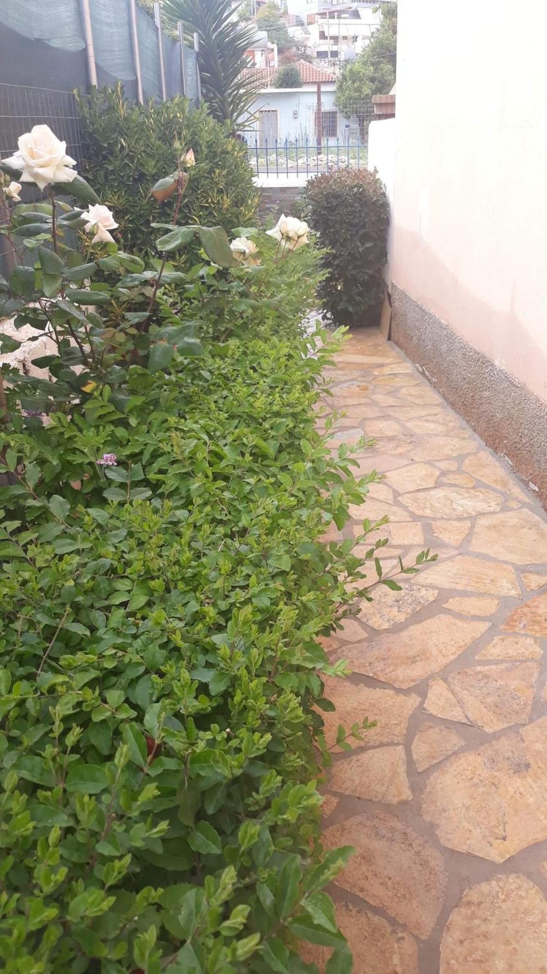 Vila Shuka Ksamil Sarandë 외부 사진